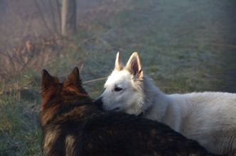 DSC_0013b Kopie