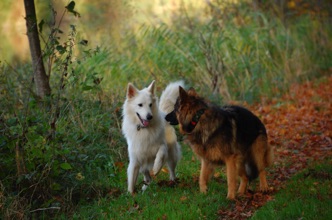 DSC_0041.jpg