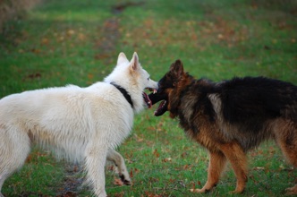 DSC_0076.jpg