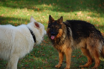 DSC_0115.jpg