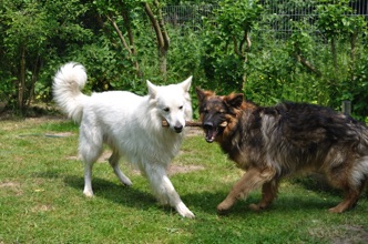 DSC_5988_027.jpg